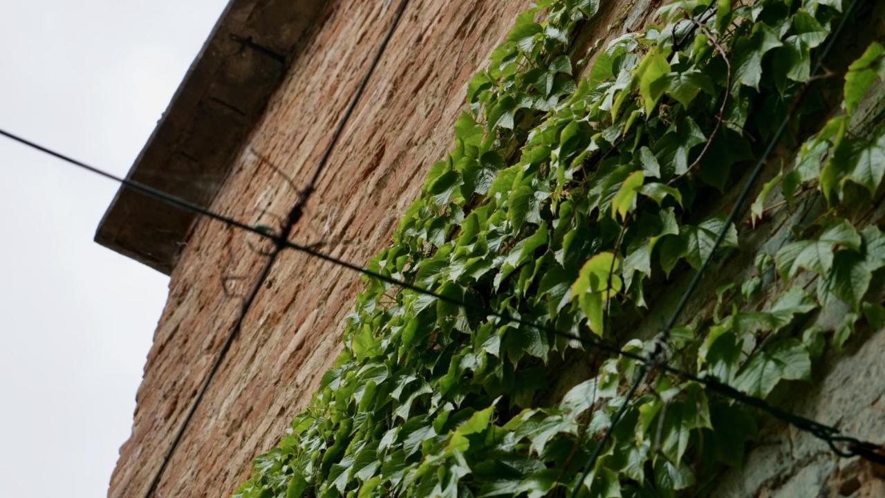 La Casa Di Giulia: Una Pausa In Collina Fubine Εξωτερικό φωτογραφία